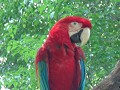 DSC08716