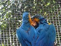 DSC08695