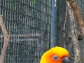 DSC08608