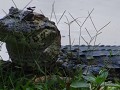 DSC08730