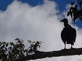 DSC08758