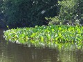DSC08779