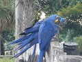 DSC08865