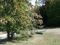 IMG 1416