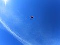 IMG 2176