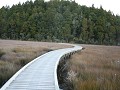 IMG 1564