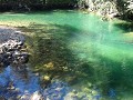 DSC02217