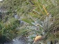 DSC01826
