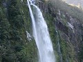 IMG 1337