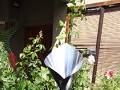 DSC02315