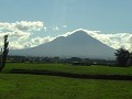 DSC02320