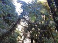 DSC02338