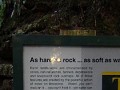 DSC02336