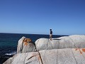Bay of fires7
