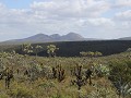 Fitzgerald River National Park16