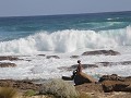 Margaret River4