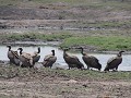 thumb IMG 7416 1024