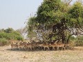 thumb IMG 7604 1024
