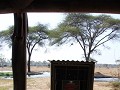 thumb IMG 8750 1024