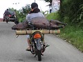 Per scooter door Toraja 3
