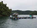 Ferry Ampana-Wakai8