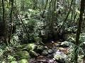 Kinabalu National Park9