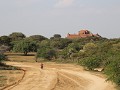 Bagan17