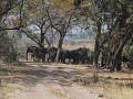 thumb IMG 7113 1024