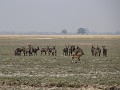 thumb IMG 6857 1024