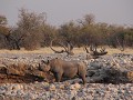 thumb IMG 5141 1024