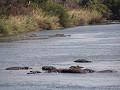 thumb IMG 6314 1024