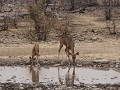 thumb IMG 5583 1024