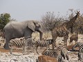 thumb IMG 5942 1024