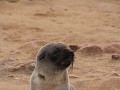 thumb IMG 4565 1024