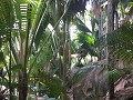 thumb IMG 9079 1024