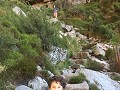 IMG 6565