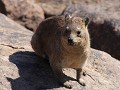 thumb IMG 2392 1024
