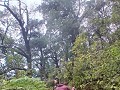 1000045691
