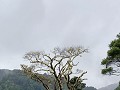 1000045703
