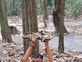 Cu chi tunnels