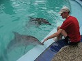 De dolfijnen aanraken was voor mij al voldoende. E