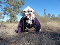 Voorhistorische mens verdwaald in de outback.