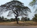 P1180513 (Small)