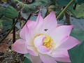 P1190119 (Small)