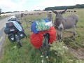 P1130972 (Small)