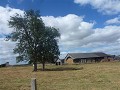 P1130980 (Small)