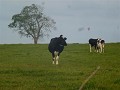 P1140015 (Small)