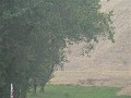 P1140115 (Small)