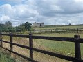 P1130683 (Small)