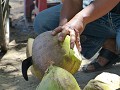 Pas op voor de vingers meneer de kokosnotenverkope